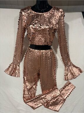 NWT Stunning Hot & Delicious Metallic 3D Matching Set